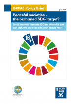 SDG policy brief 2019 - cover