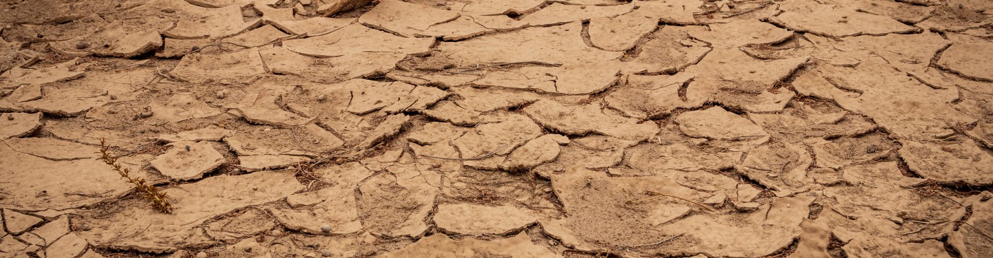 Drought