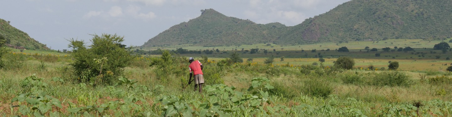 Man working on a field in Uganda