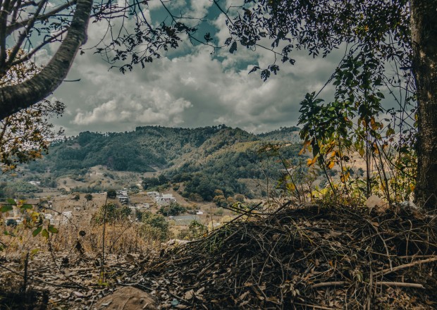 Image of nature in Guatemala