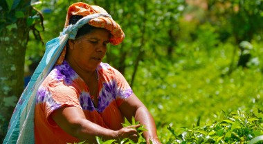 Climate Security and Emerging Threats GPPAC