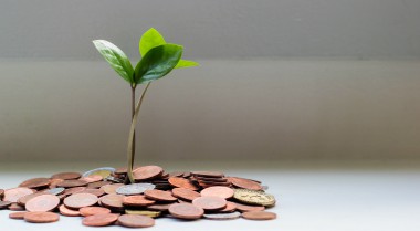 A little plant growing out of coins on the table