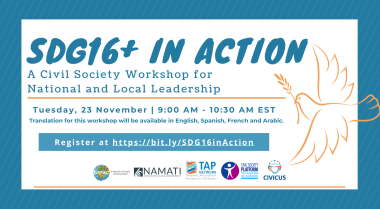 SDG16+ in Action visual