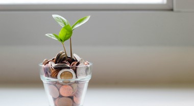 A plant grows out of coins