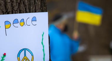 Ukraine peace protest sign pinned on a tree