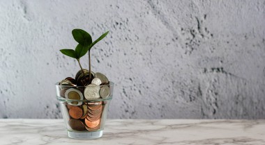 Green plant growing on coins